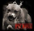 pit